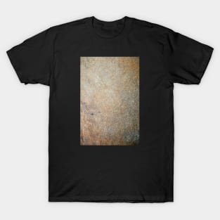 Prehistoric graduated texture T-Shirt